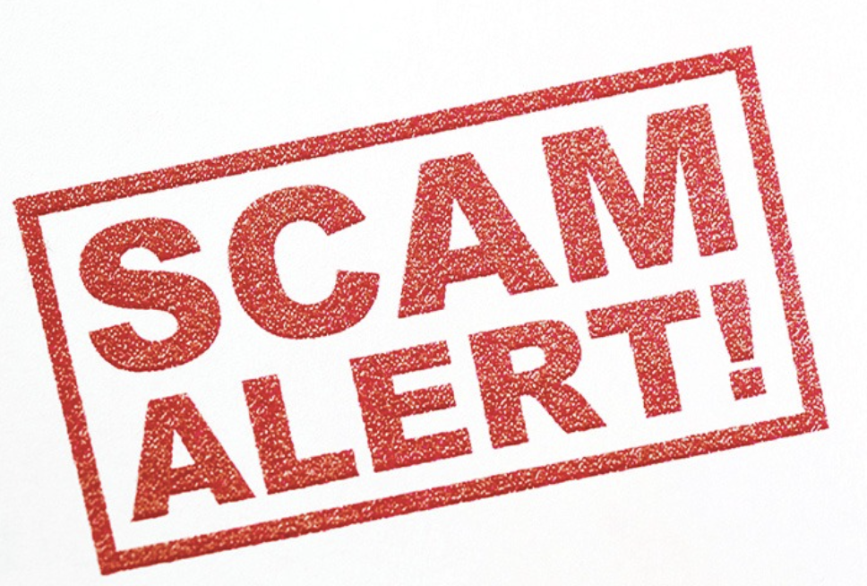 Assetvyldaris.com / Assetvyldaris.pro Scam Review
